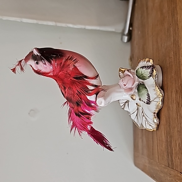 Red 🪭 CARDINAL bird 🌹 - Picture 10 of 10